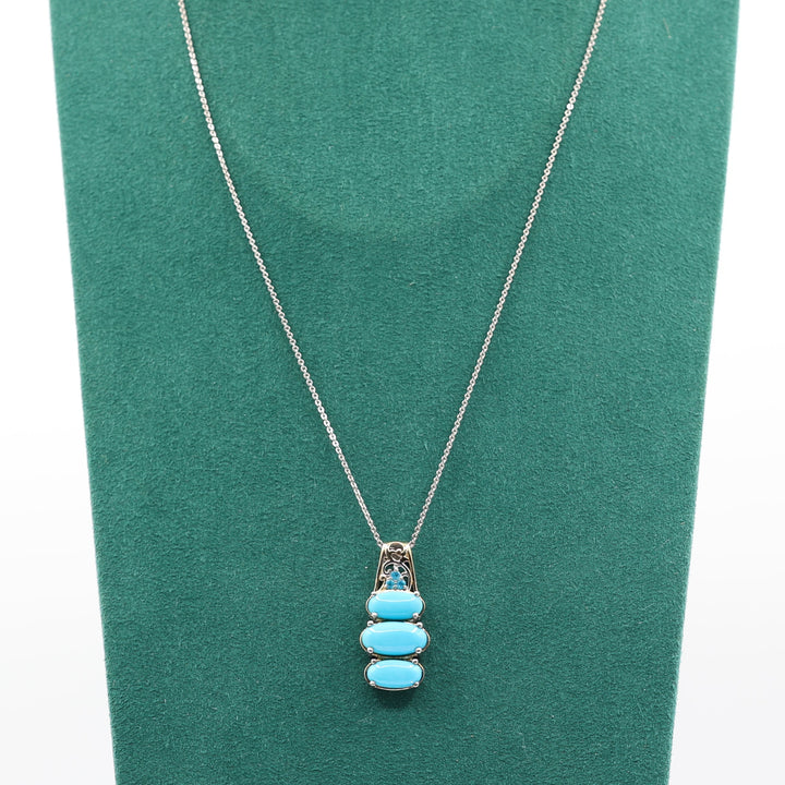 Arizona Sleeping Beauty Turquoise Necklace