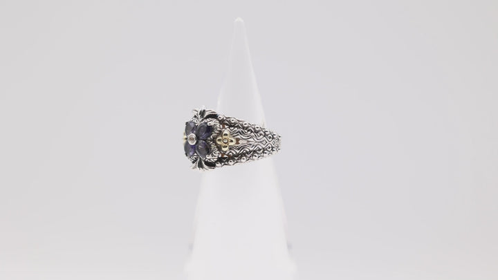 Barbara Bixby Sterling Silver and 18k Yellow Gold Amethyst Ring Size 7